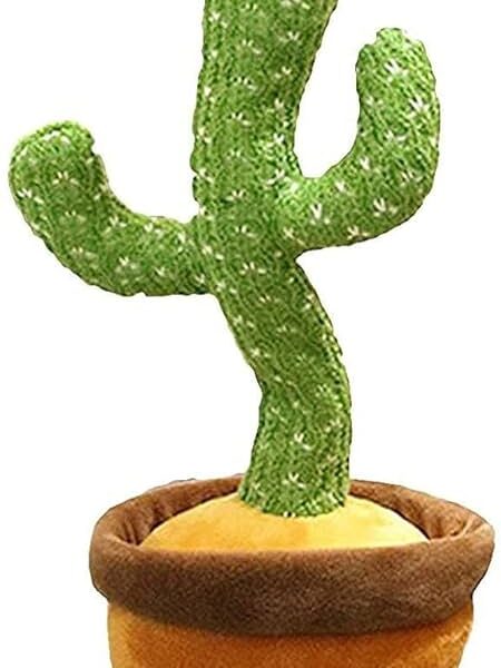 Dancing Cactus Toy