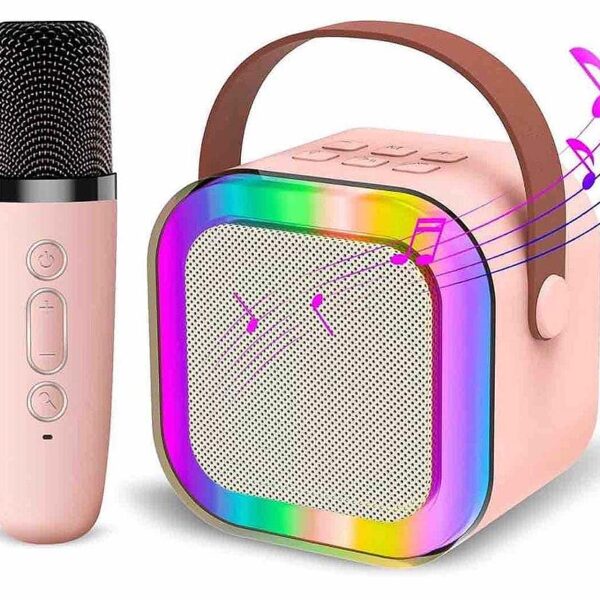 Mic With Bluetooth Speaker